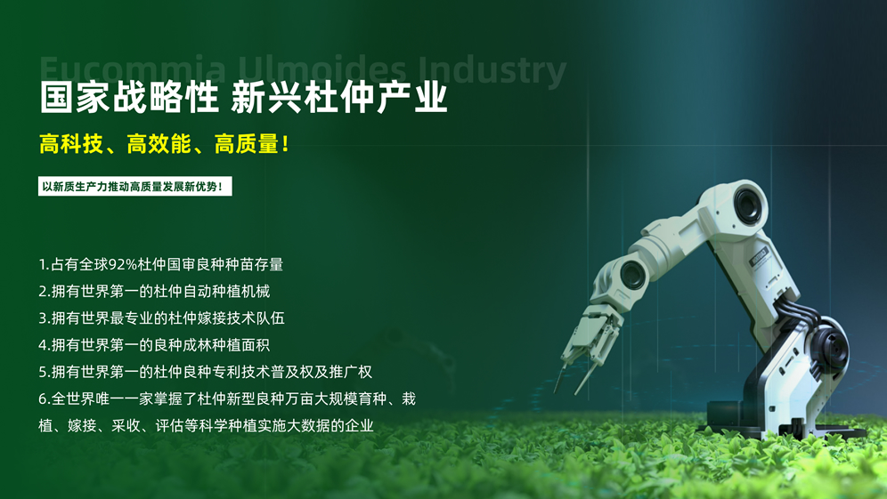 九九慢城杜仲产业（蒙城）有限公司